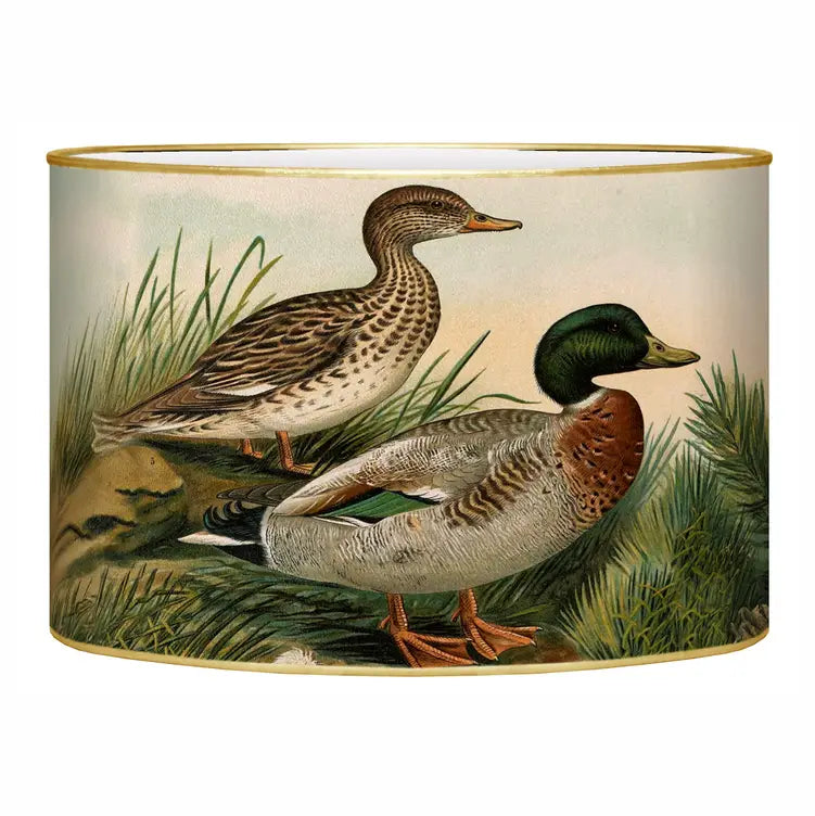 Marye-Kelley Ducks Letterbox - Medium