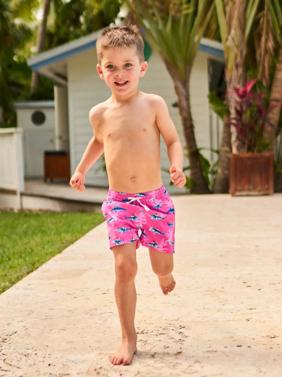 Chubbies Toddler Classic Swim Trunk - The Lil Great Pink Shark