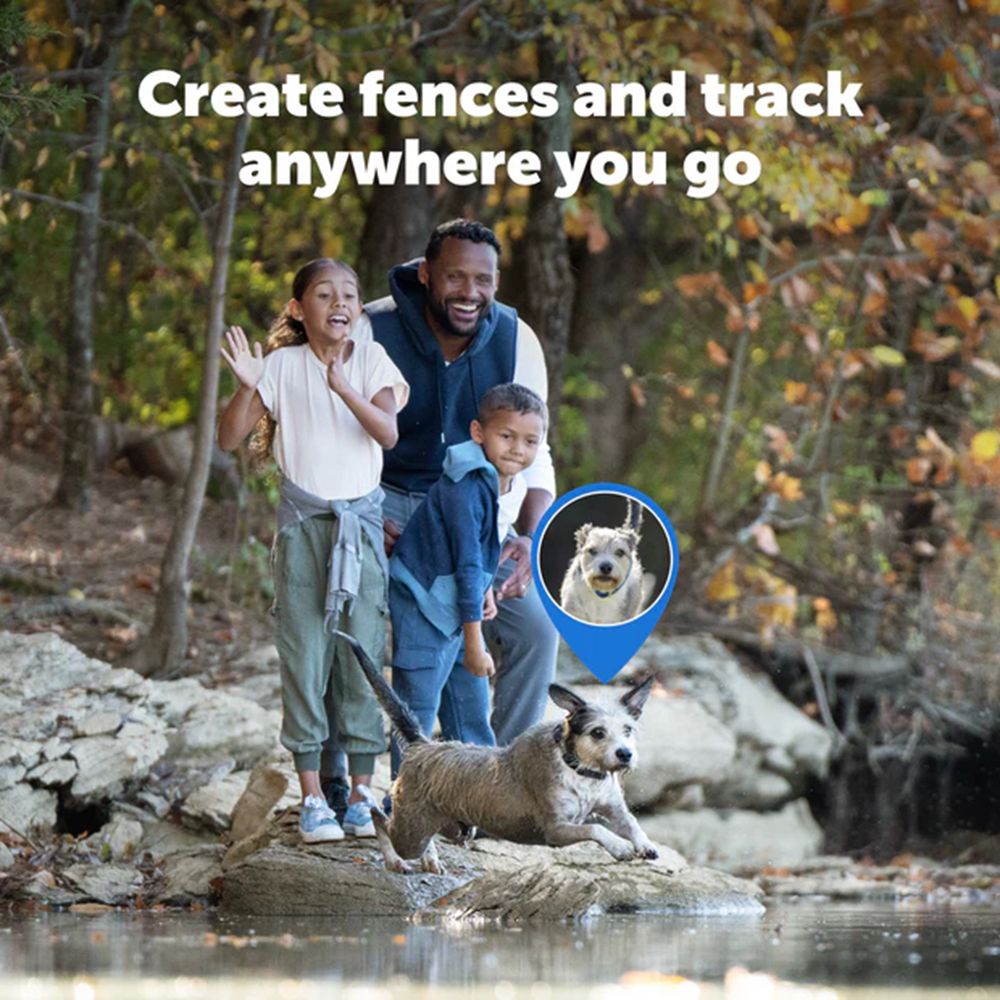 PetSafe Guardian GPS Dog Fence + Tracking Collar
