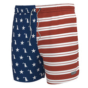 Local Boy Youth Bayview Swim Trunk - American Local