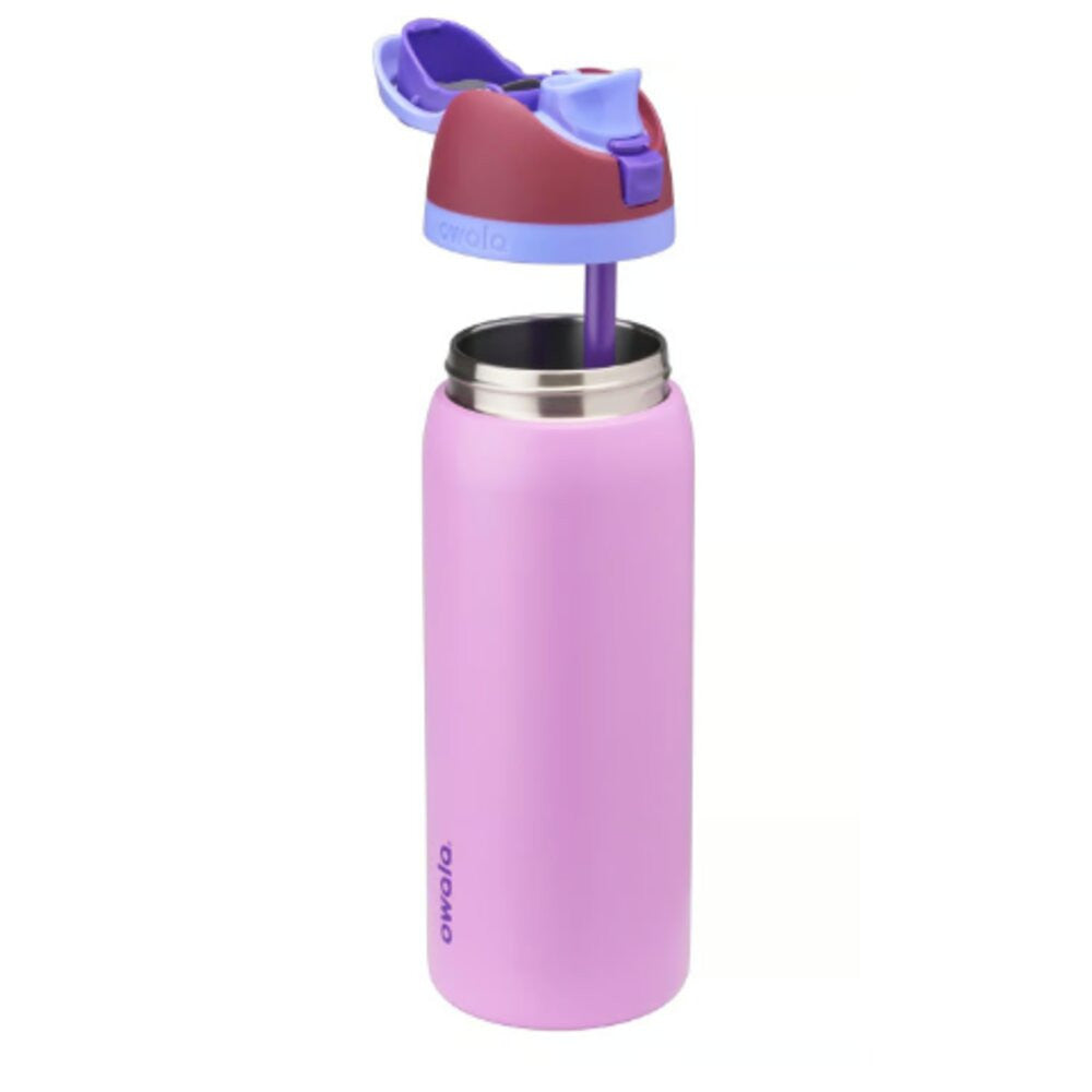 Owala FreeSip 32oz Electric Orchid Water Bottle with Spout Lid