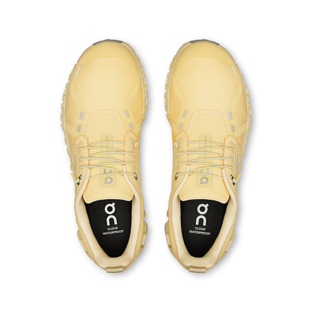On Cloud 6 Waterproof Women’s Shoe - Nectar/Castor
