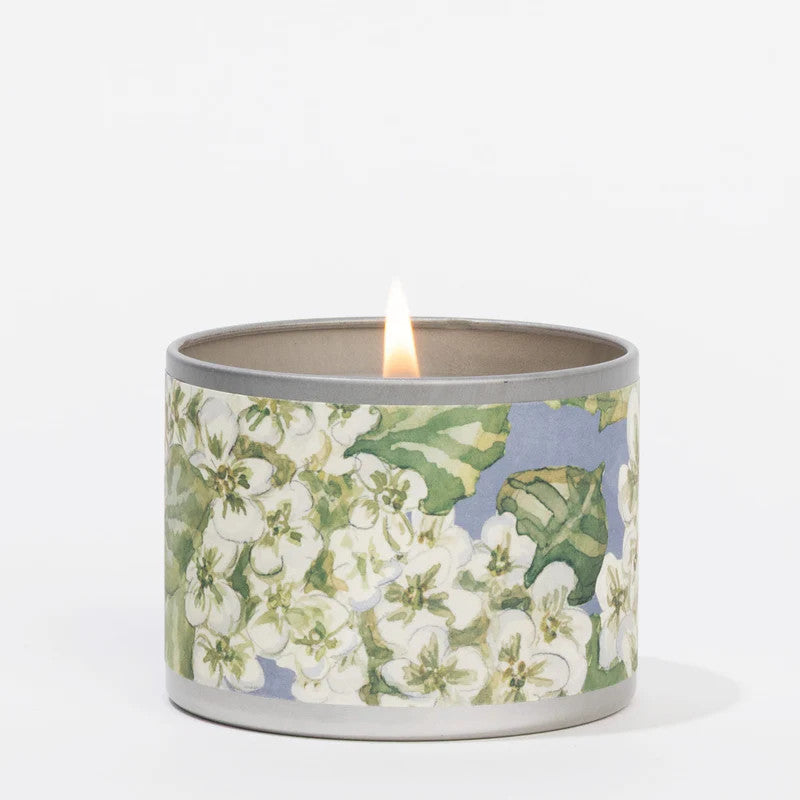 Greenleaf Hydrangea Tin Candle