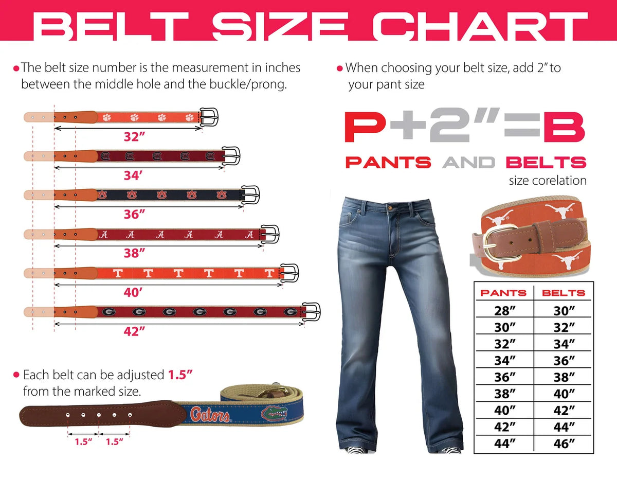 Zep-Pro South Carolina Gamecocks Preppy Pinstripe Ribbon Belt